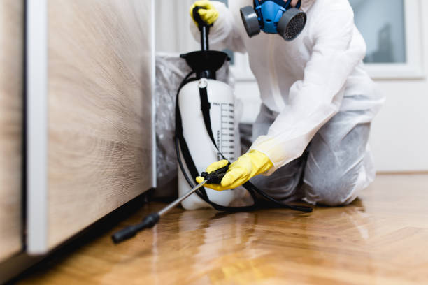 Best Local Pest Control Services  in Martinsville, NJ