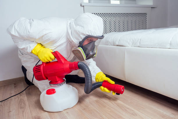 Best Pest Control for Businesses  in Martinsville, NJ