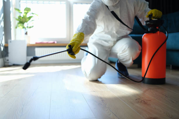 Best Pest Control for Homes  in Martinsville, NJ