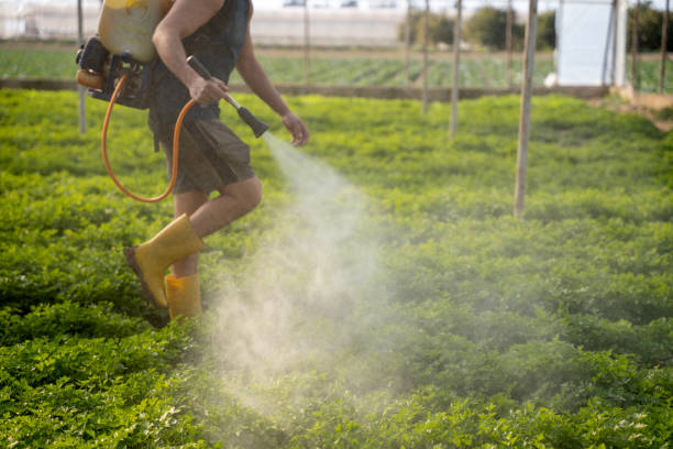 Best Best Pest Control Companies  in Martinsville, NJ