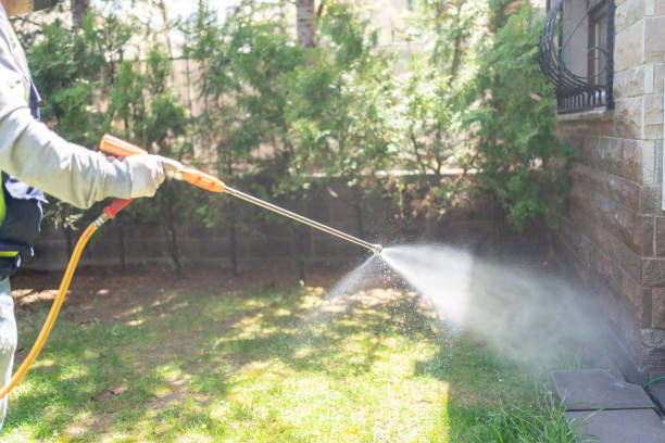 Best Pest Removal Services  in Martinsville, NJ