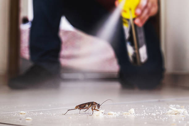 Best Residential Pest Control  in Martinsville, NJ
