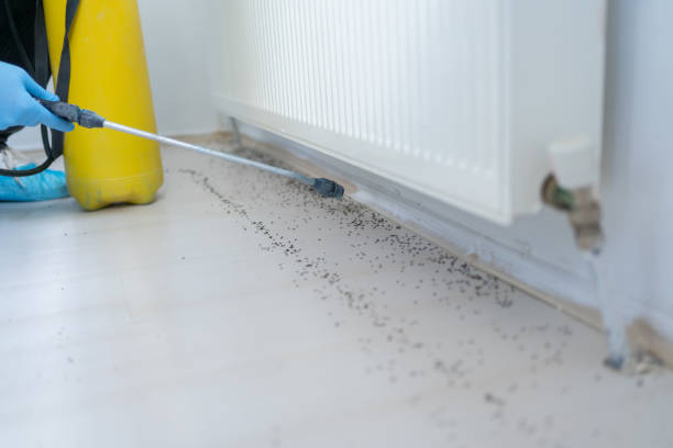 Best Affordable Pest Control Services  in Martinsville, NJ